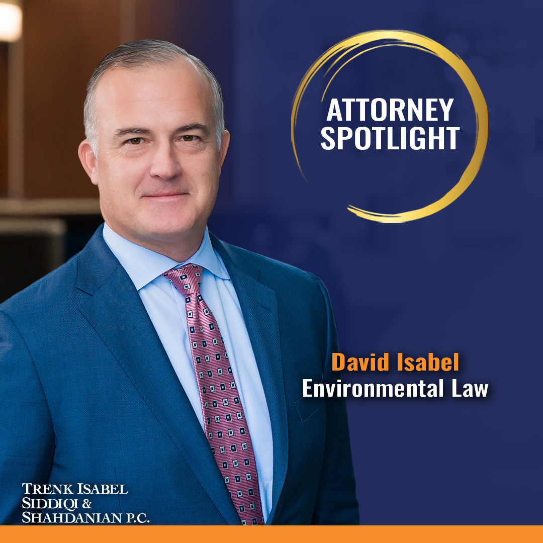 David Isabel